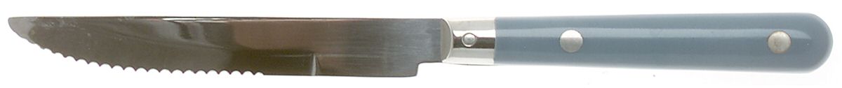 Mardi Gras-Sky Blue (Stainless) Individual Steak Knife Hollow Handle by Washington Forge-1