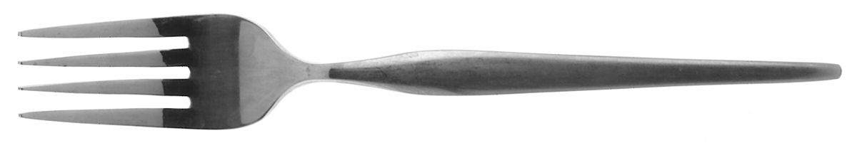 Northern Sea (Stainless) Individual Salad Fork by Washington Forge-1