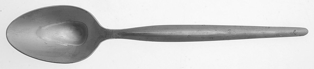 Northern Sea (Stainless) Place/Oval Soup Spoon by Washington Forge-1
