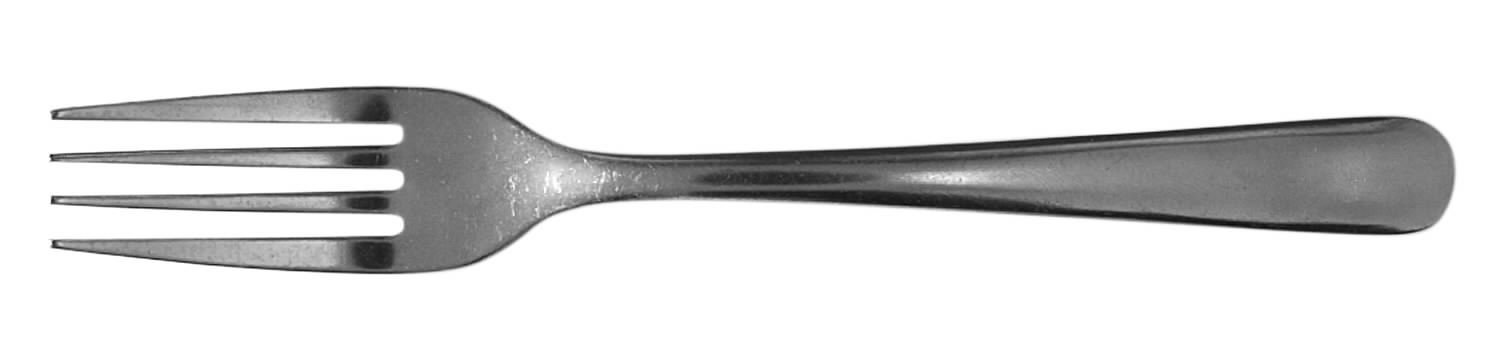 Sarah (Stainless) Fork by Washington Forge-1