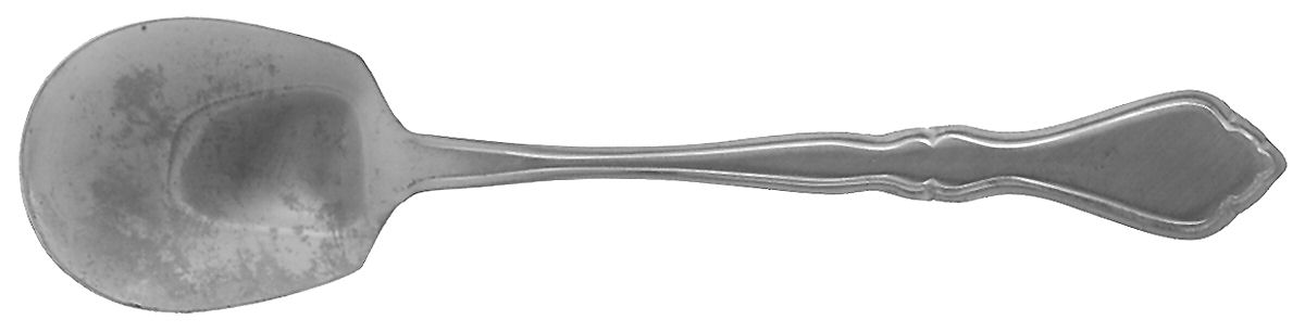 Spring Meadow (Stainless) Sugar Spoon by Washington Forge-1