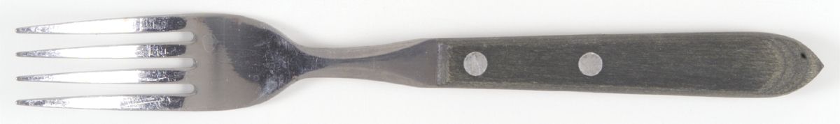 Town and Country Green (Stainless) Fork by Washington Forge-1