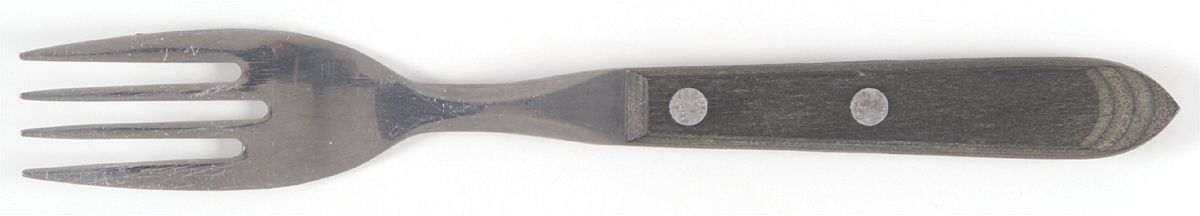 Town and Country Green (Stainless) Individual Salad Fork by Washington Forge-1