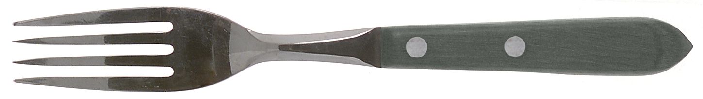 Town and Country Green (Stainless) Fork by Washington Forge-1