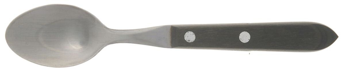 Town and Country Green (Stainless) Teaspoon by Washington Forge-1