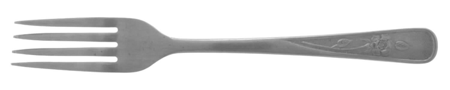 WAF10 (STAINLESS) Fork by Washington Forge-1