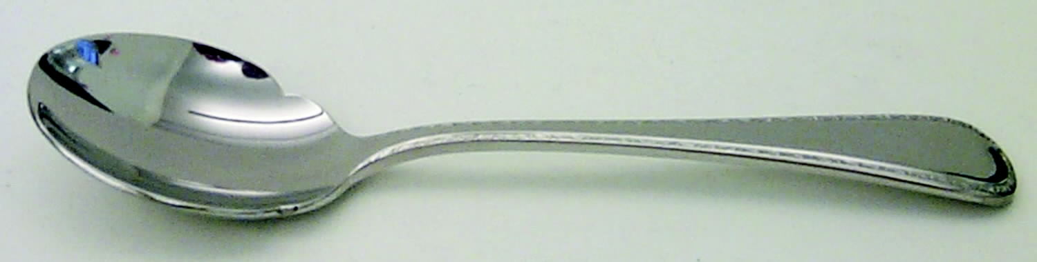 Ashcroft (Stainless, 18-8) Sugar Spoon by Wallace Silver-1
