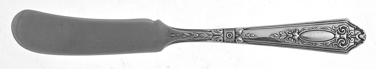 Astor (Silverplate, 1925, No Monograms) Flat Handle Butter Spreader by Wallace Silver-1