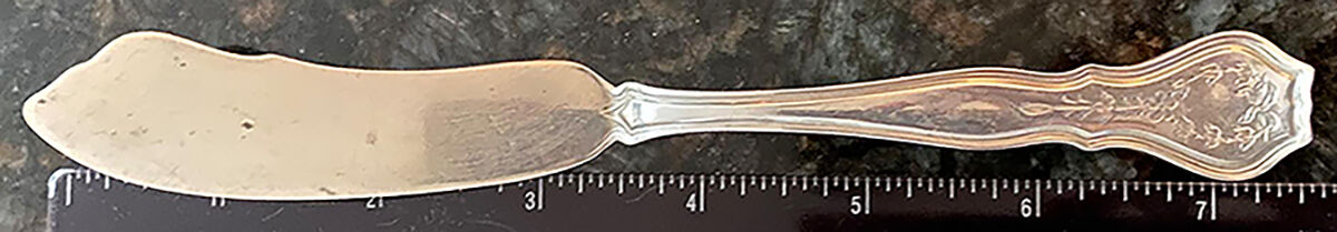 Cairo (Sterling, 1908) Flat Handle Master Butter Knife by Wallace Silver-1