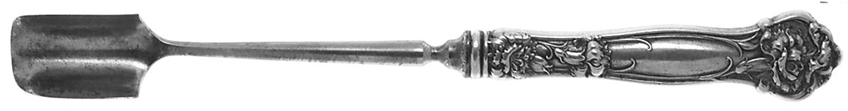 Carnation (Sterling, 1909) Cheese Scoop with Silverplate Scoop by Wallace Silver-1