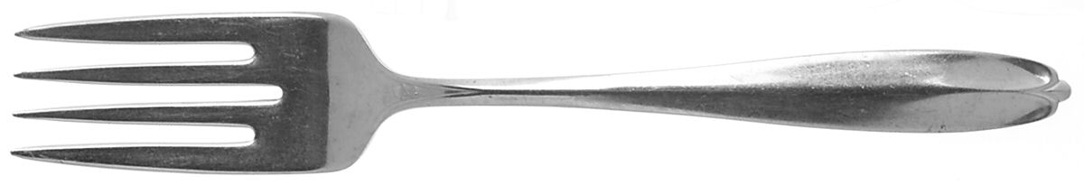 Fleetline (Stainless) Medium Solid Cold Meat Serving Fork by Wallace Silver-1