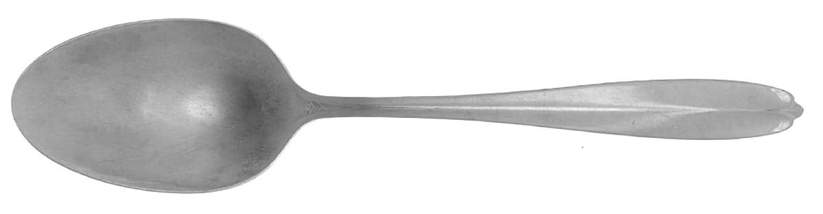 Fleetline (Stainless) Place/Oval Soup Spoon by Wallace Silver-1
