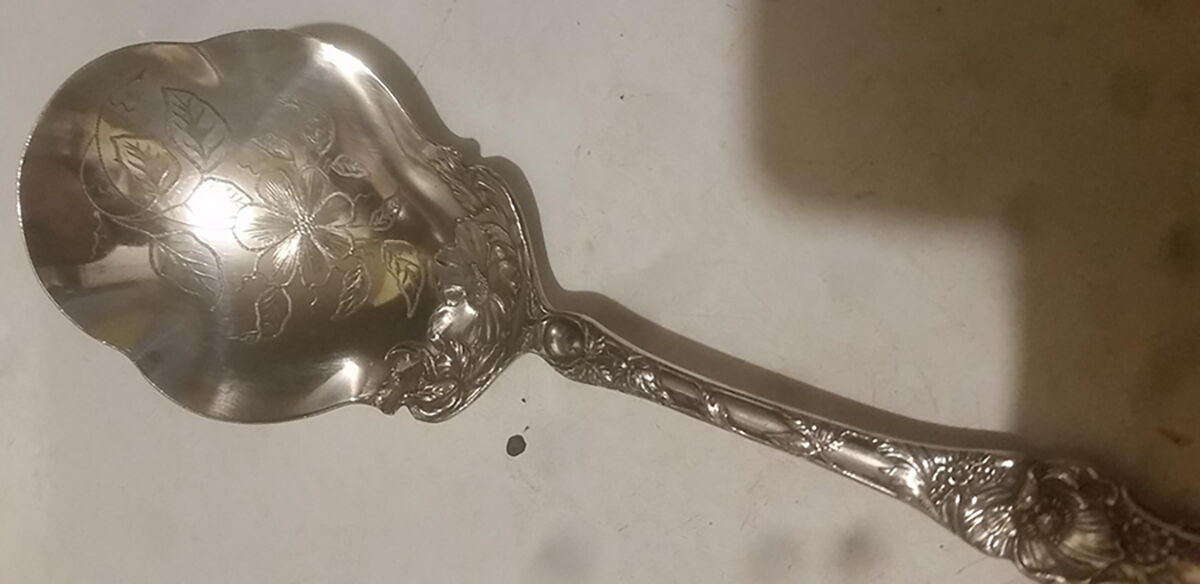 Floral (Silverplate, 1902) Bright Cut Berry/Casserole Spoon by Wallace Silver-1
