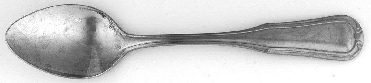 Nicole (Stainless) Teaspoon by Wallace Silver-1