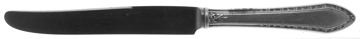 Orange Blossom (Sterling, 1923) New French Hollow Knife by Wallace Silver-1