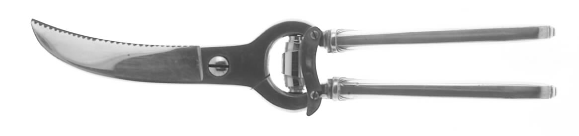 Reflection (Sterling, 1920) Poultry Shears with Stainless Blades by Wallace Silver-1