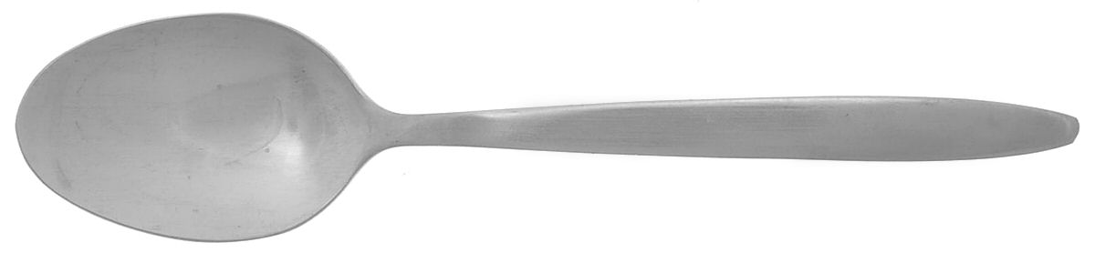 Regency (Stainless) Teaspoon by Wallace Silver-1