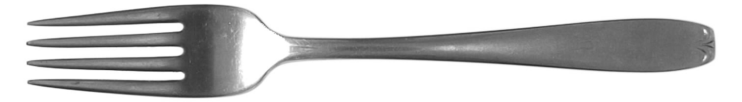 WAS29 (STAINLESS) Fork by Wallace Silver-1