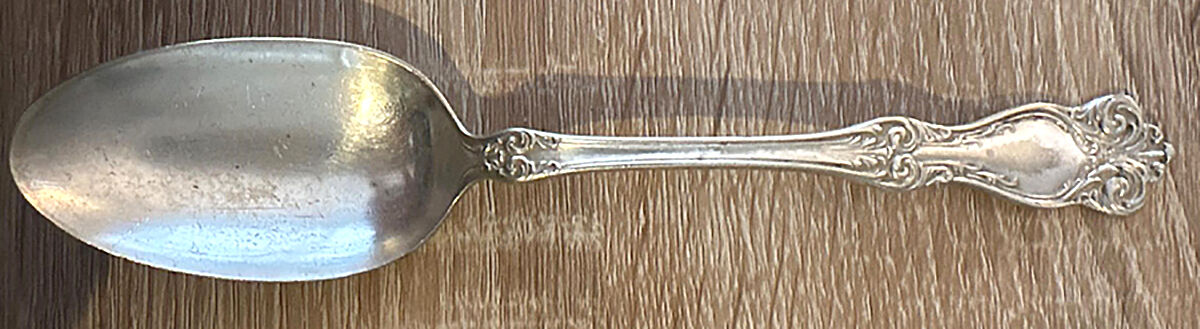 Essex (Silverplatel, 1900) Place/Oval Soup Spoon by Williams Bros-1