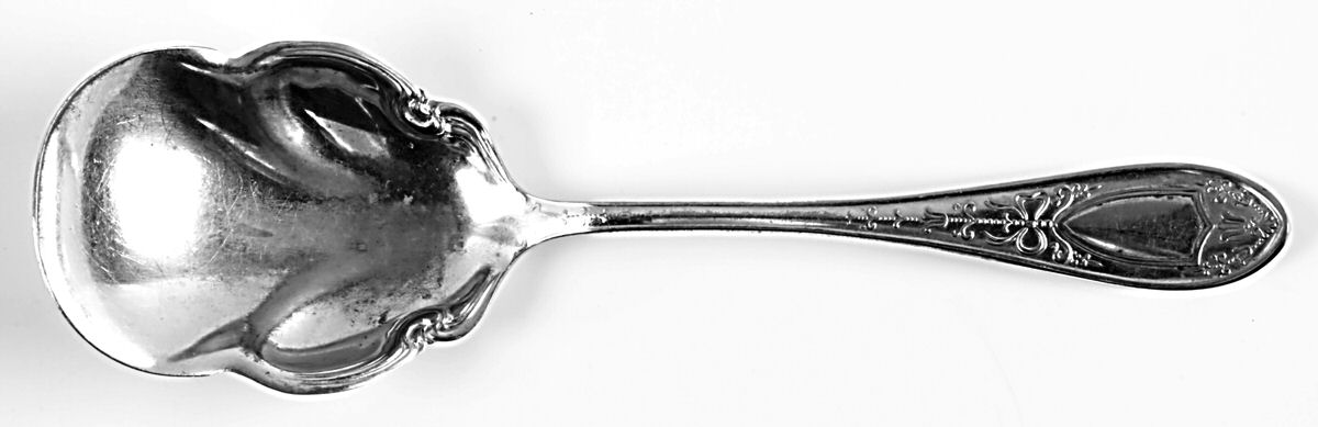 Queen Helena (Silverplate, 1905) Solid Smooth Berry/Casserole Spoon by Williams Bros-1