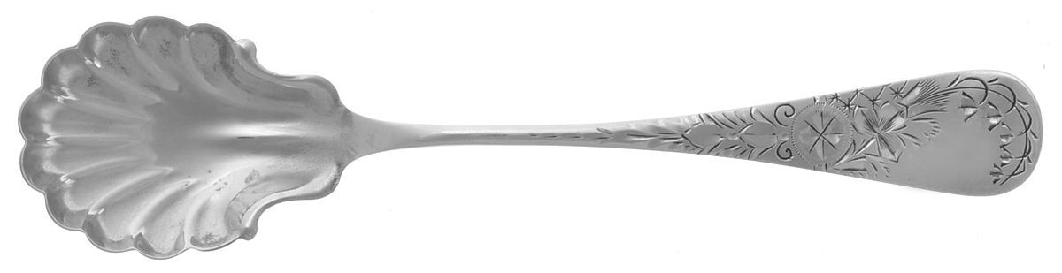 Antique Lily-Engraved (Sterling, 1882) Sugar Shell Spoon by Whiting Manf Co-1