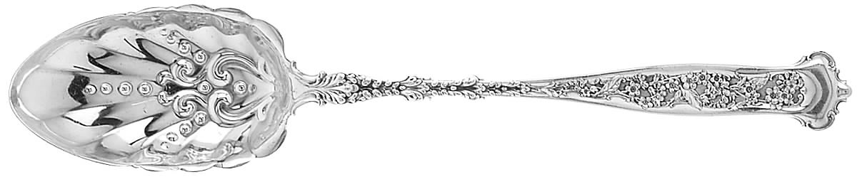 Dresden (Sterling, 1896) Solid Gravy Serving Spoon by Whiting Manf Co-1