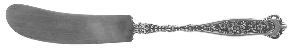 Dresden (Sterling, 1896) Large Flat Handle Butter Spreader by Whiting Manf Co-1