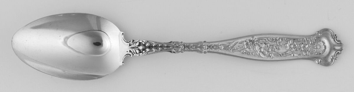 Dresden (Sterling, 1896) Teaspoon by Whiting Manf Co-1