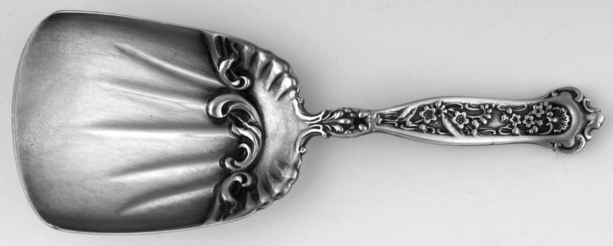 Dresden (Sterling, 1896) Tea Caddy Shovel by Whiting Manf Co-1