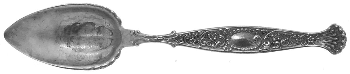 Hyperion (Sterling, 1888) Orange Spoon by Whiting Manf Co-1