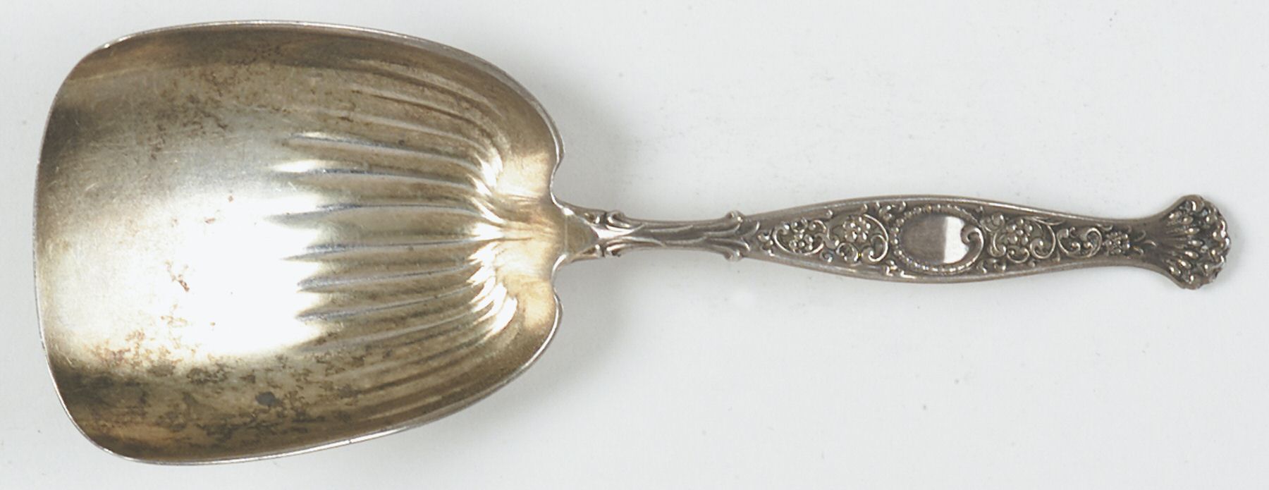 Hyperion (Sterling, 1888) Caddy Scoop by Whiting Manf Co-1