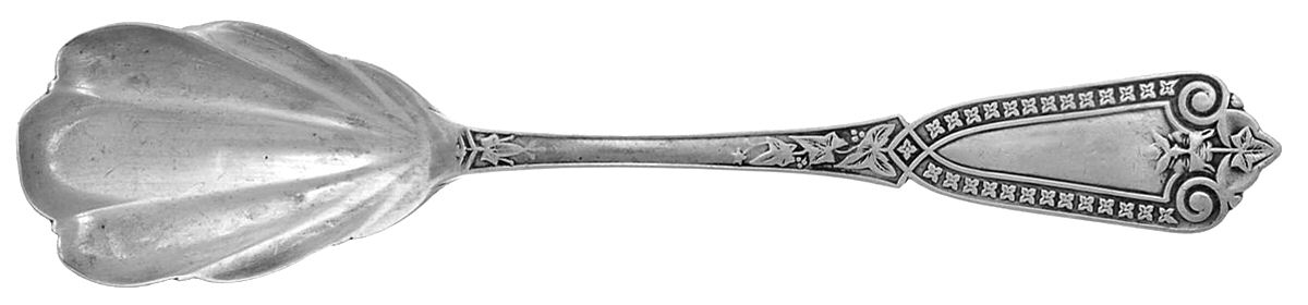 Ivy (Sterling, 1865) Sugar Shell Spoon by Whiting Manf Co-1