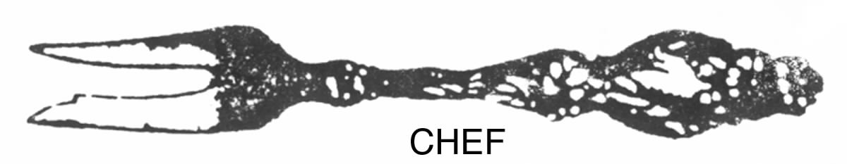 Lily (Sterling, 1902, Lion-Pat.1902) Cheese Fork by Whiting Manf Co-1