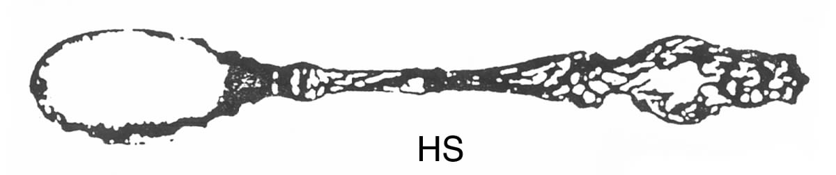 Lily (Sterling, 1902, Lion-Pat.1902) Large Horseradish Serving Spoon by Whiting Manf Co-1