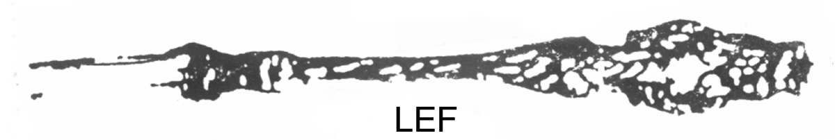 Lily (Sterling, 1902, Lion-Pat.1902) Lemon Fork by Whiting Manf Co-1