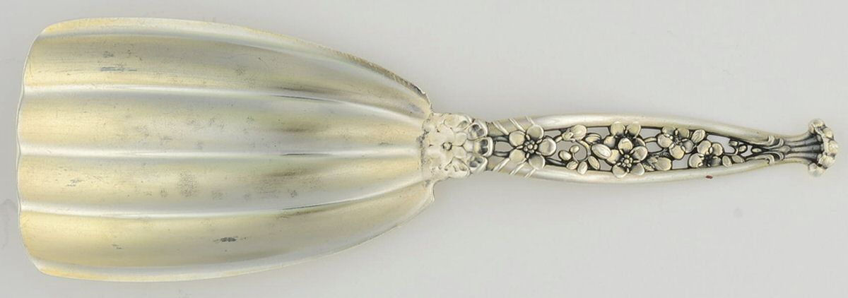 No 1 (Sterling, 1885) Tea Caddy Spoon by Whiting Manf Co-1