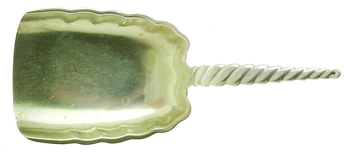 Oval Twist (Sterling, 1880) Caddy Scoop by Whiting Manf Co-1