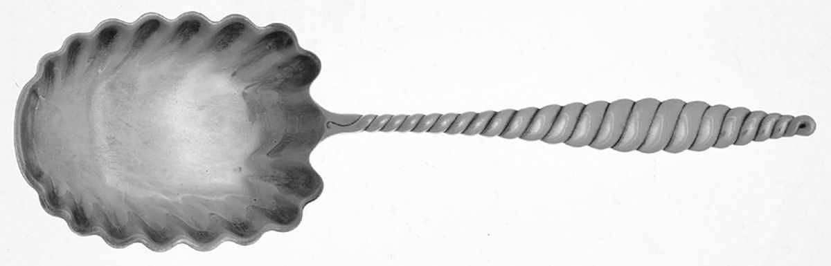 Oval Twist (Sterling, 1880) Preserve Spoon by Whiting Manf Co-1