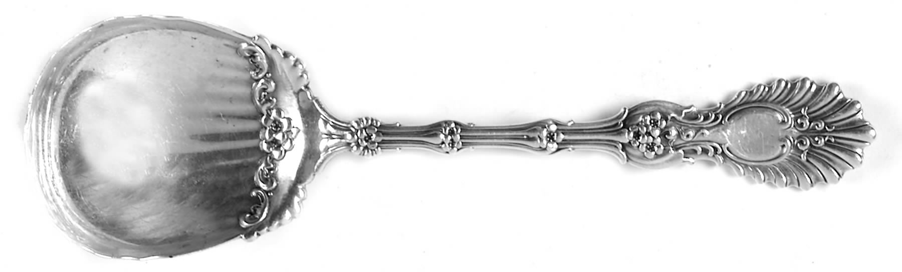 Radiant (Sterling, 1895) Sugar Spoon by Whiting Manf Co-1