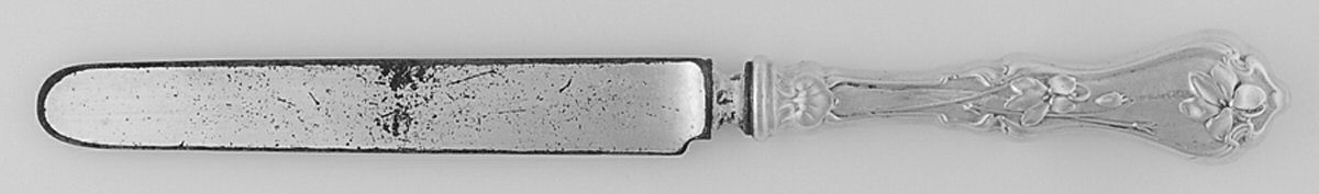 Violet (Sterling, 1905) Youth/Tea Knife with Stainless Blade by Whiting Manf Co-1