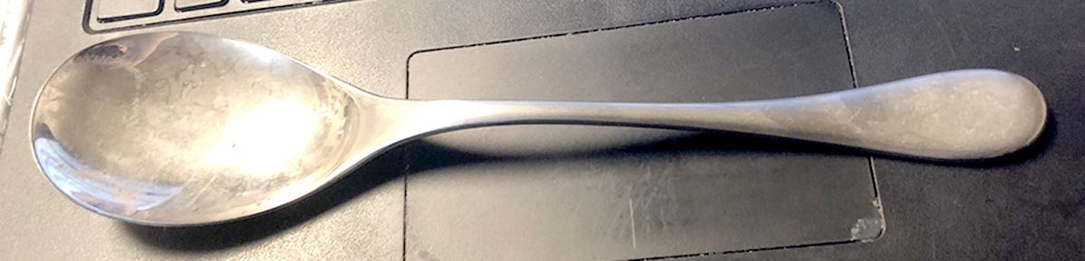 Wega (Stainless) Tablespoon (Serving Spoon) by Wilkens-1