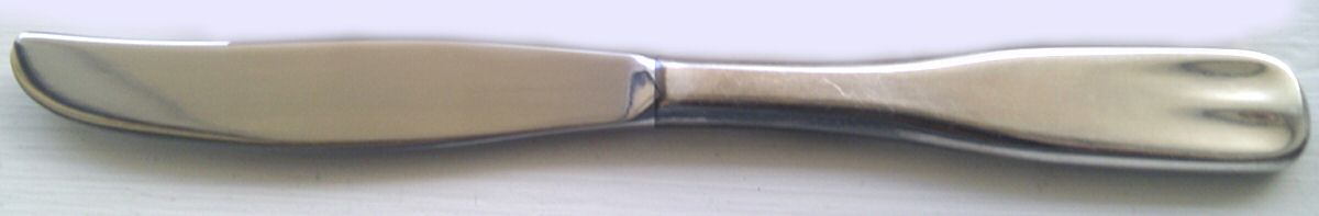 Westminster (Stainless) Modern Hollow Knife by World Tableware-1