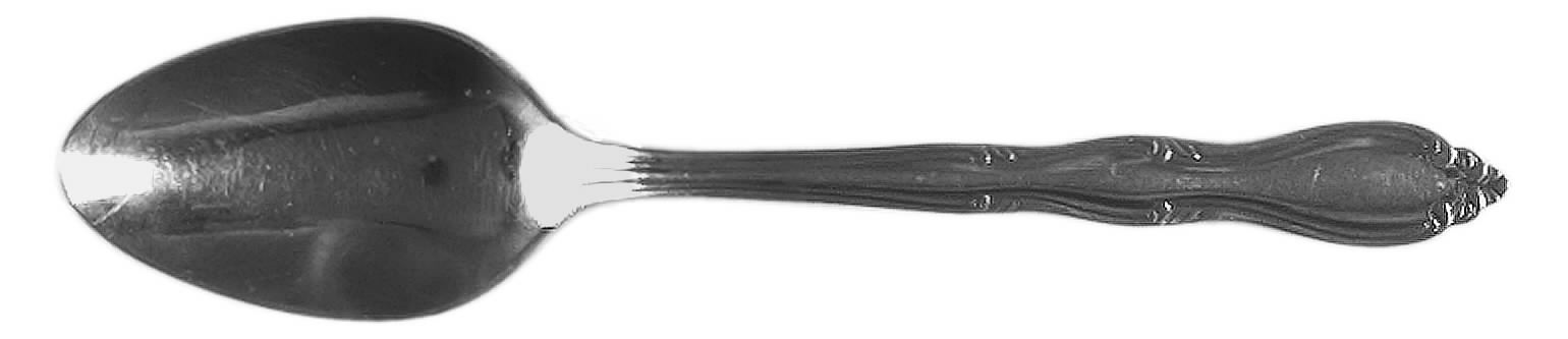 WOF4 (STAINLESS) Teaspoon by World Tableware-1