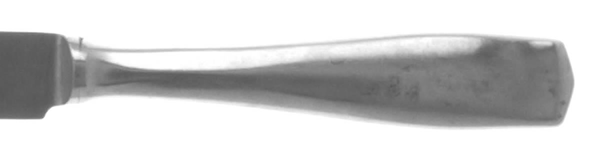 Century (Stainless) Individual Fruit Knife with Stainless Blade by Worcester-1