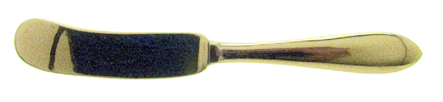 Midas (Stainless) Flat Handle Butter Spreader by W & S Blackington Co-1