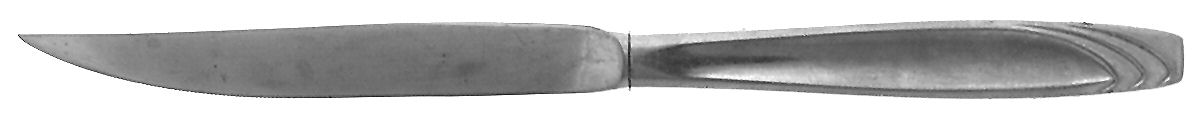 Caribbean (Stainless) Individual Steak Knife Hollow Handle by Westminster-1
