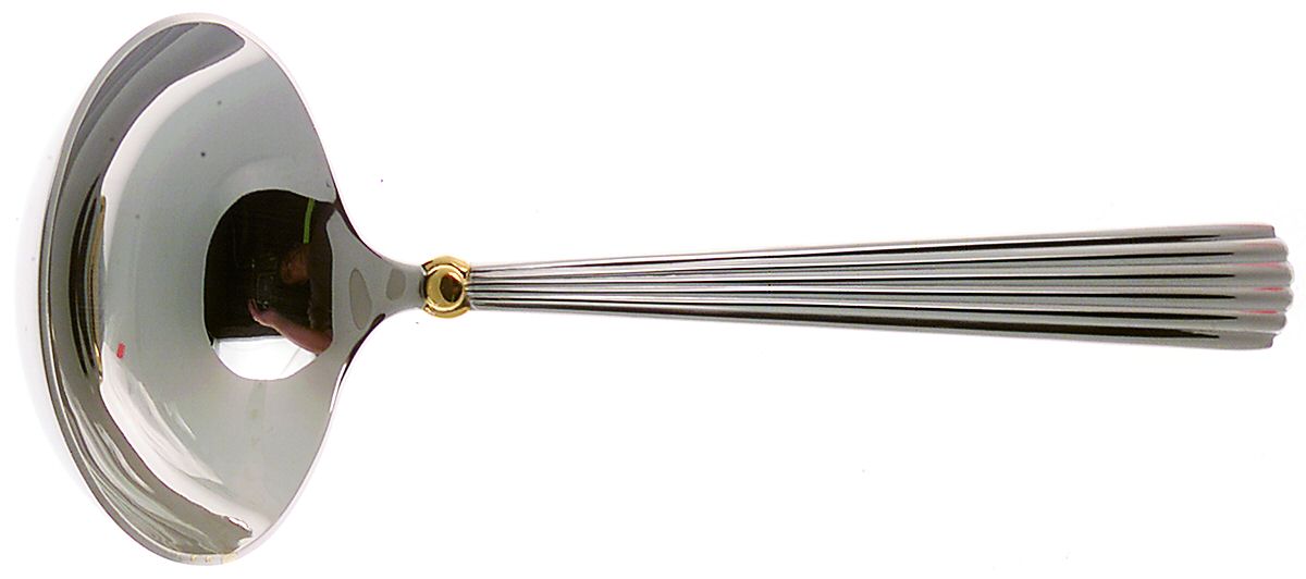 Carleton Gold (Stainless) Solid Gravy Ladle by Waterford-1