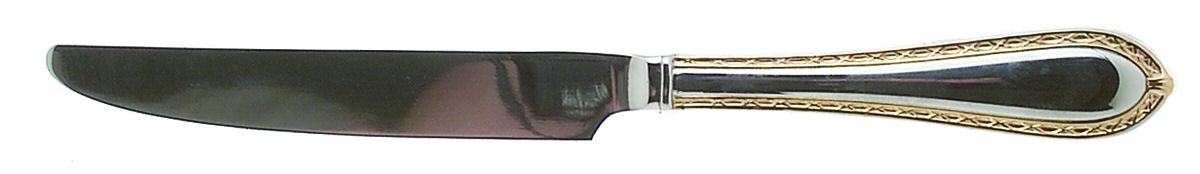 Powerscourt Gold (Stainless, Gold Accent) New French Hollow Knife by Waterford-1