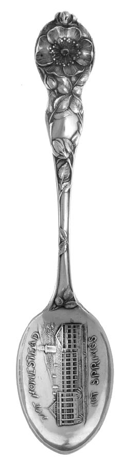 Wild Rose (Sterling, 1905) Souvenir Spoon (Teaspoon) by Watson-1