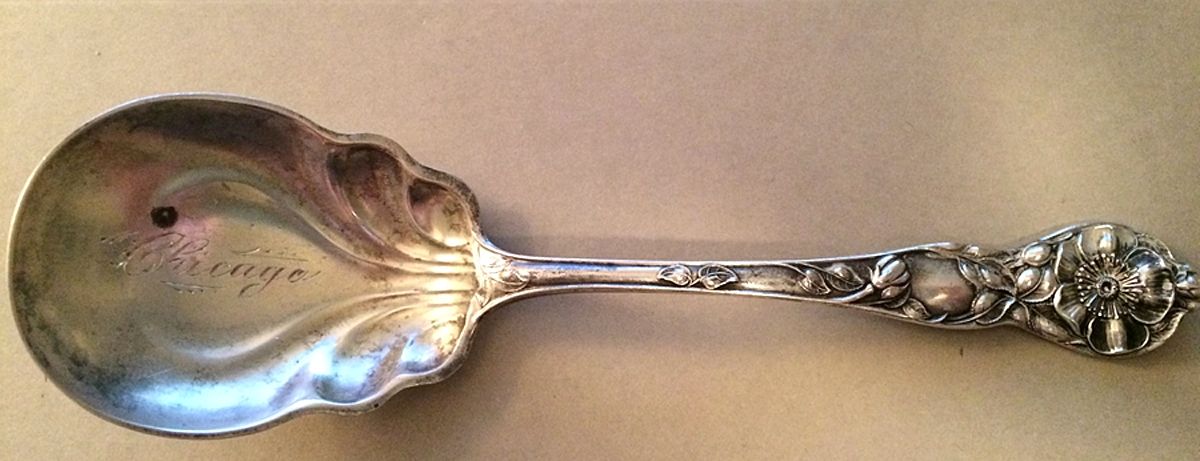 Wild Rose (Sterling, 1905) Preserve Spoon by Watson-1